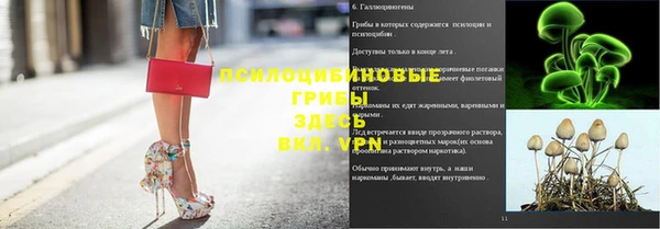 хмурый Верхний Тагил