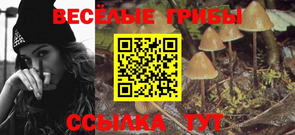Псилоцибиновые грибы Psilocybine cubensis Батайск