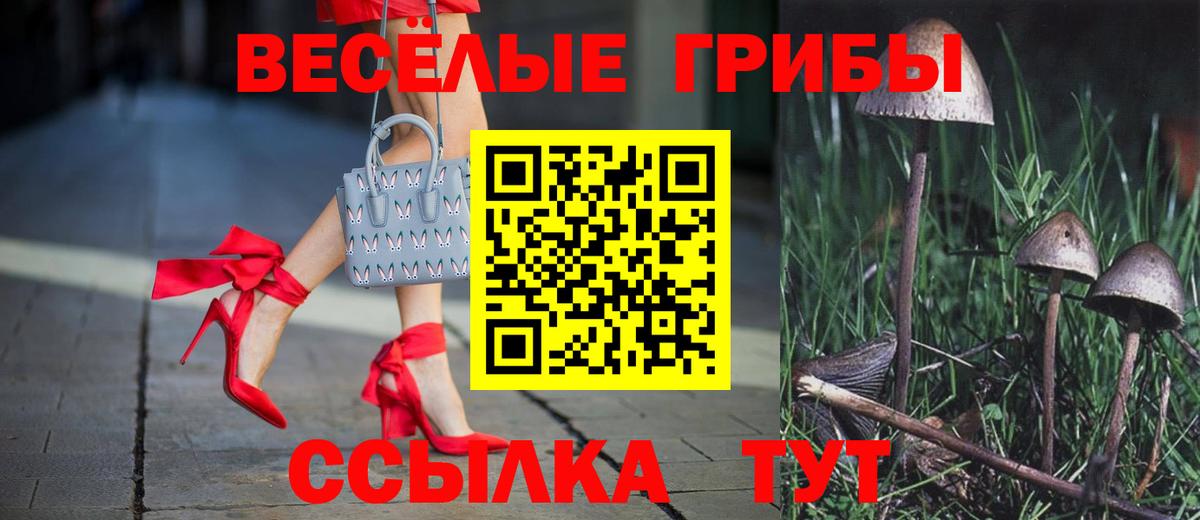 Псилоцибиновые грибы Psilocybine cubensis  Псилоцибиновые грибы MAGIC MUSHROOMS  Вход с VPN  Батайск 