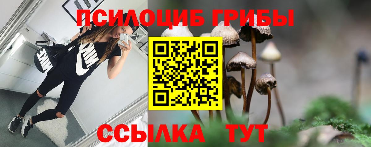 Псилоцибиновые грибы Magic Shrooms  Батайск 